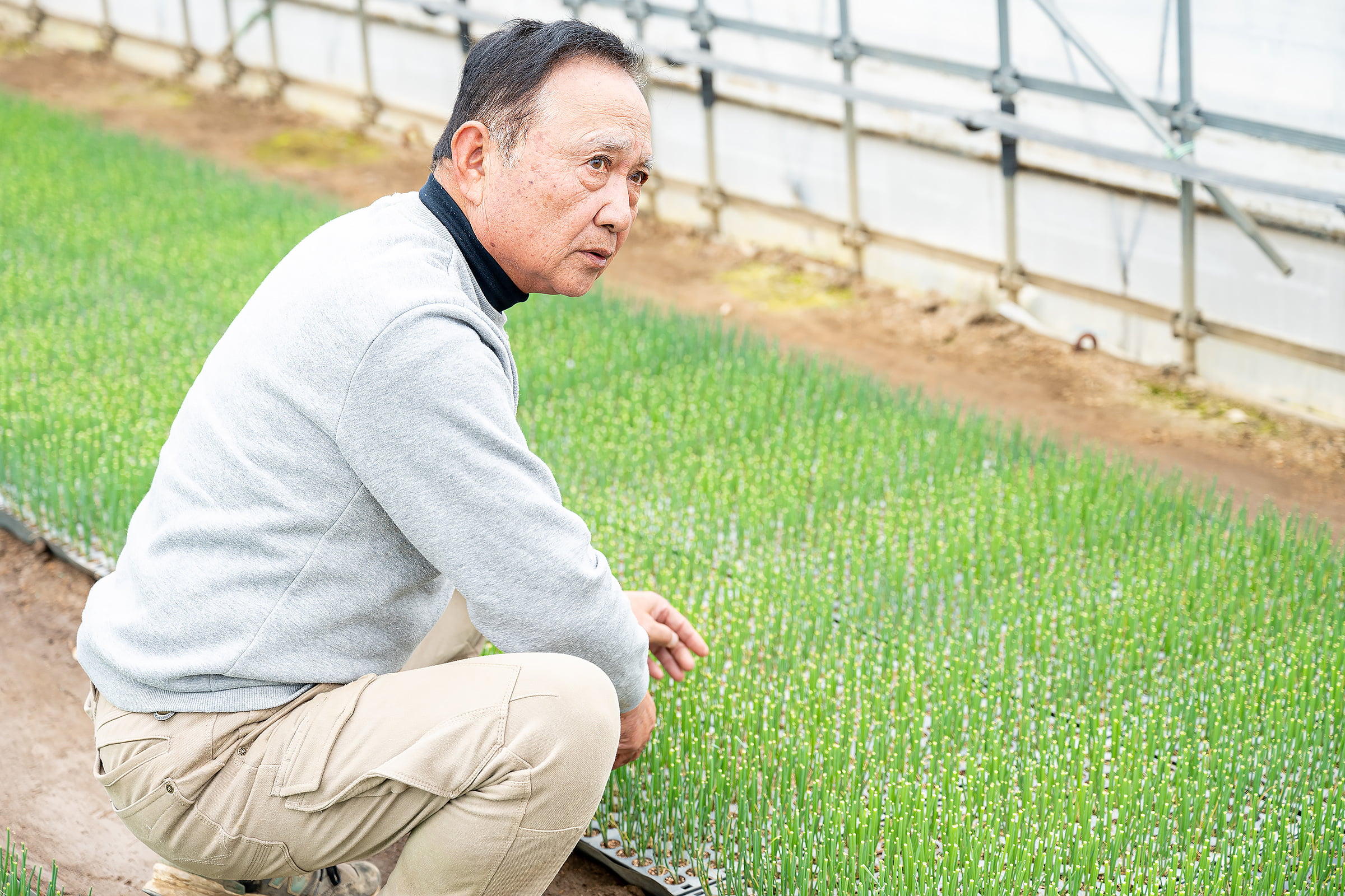 熊谷野菜 ねぎ生産者・田沼唯利さん｜晴れまちFARM