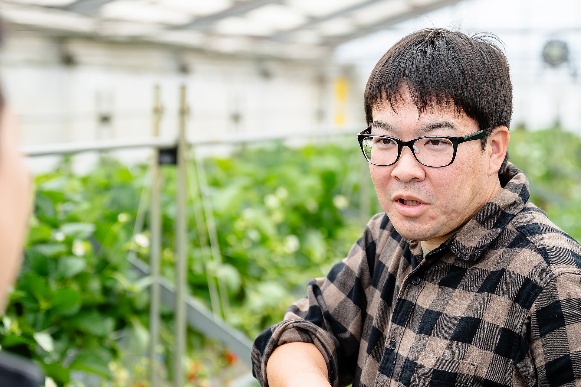 いちごの生産者・奥地良啓さん|晴れまちFARM
