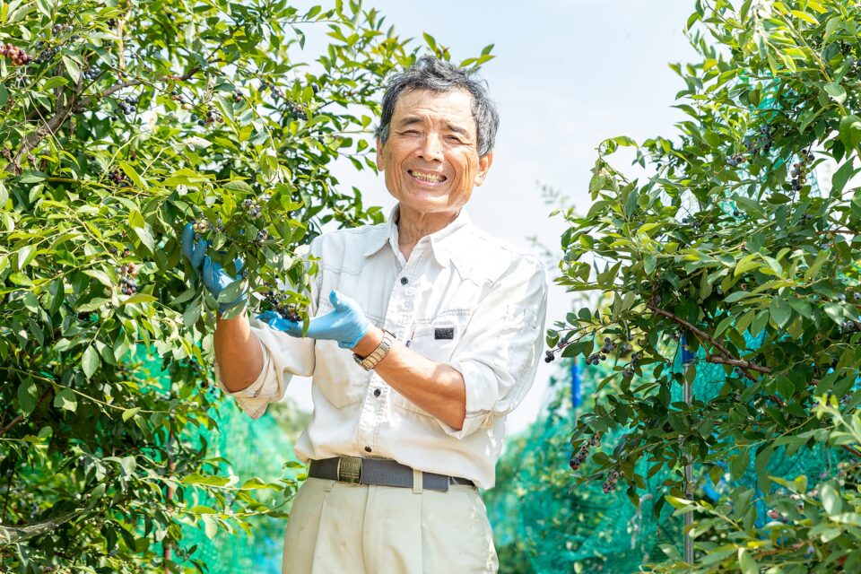 熊谷野菜 ブルーベリー生産者・馬場仁さん｜晴れまちFARM