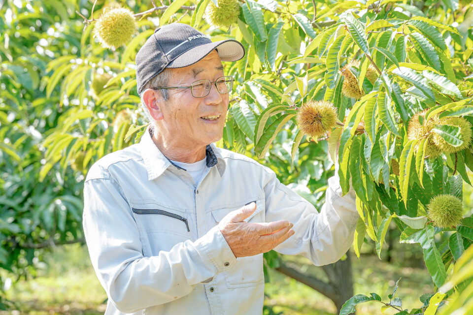 志村 武さん（栗）｜晴れまちFARM