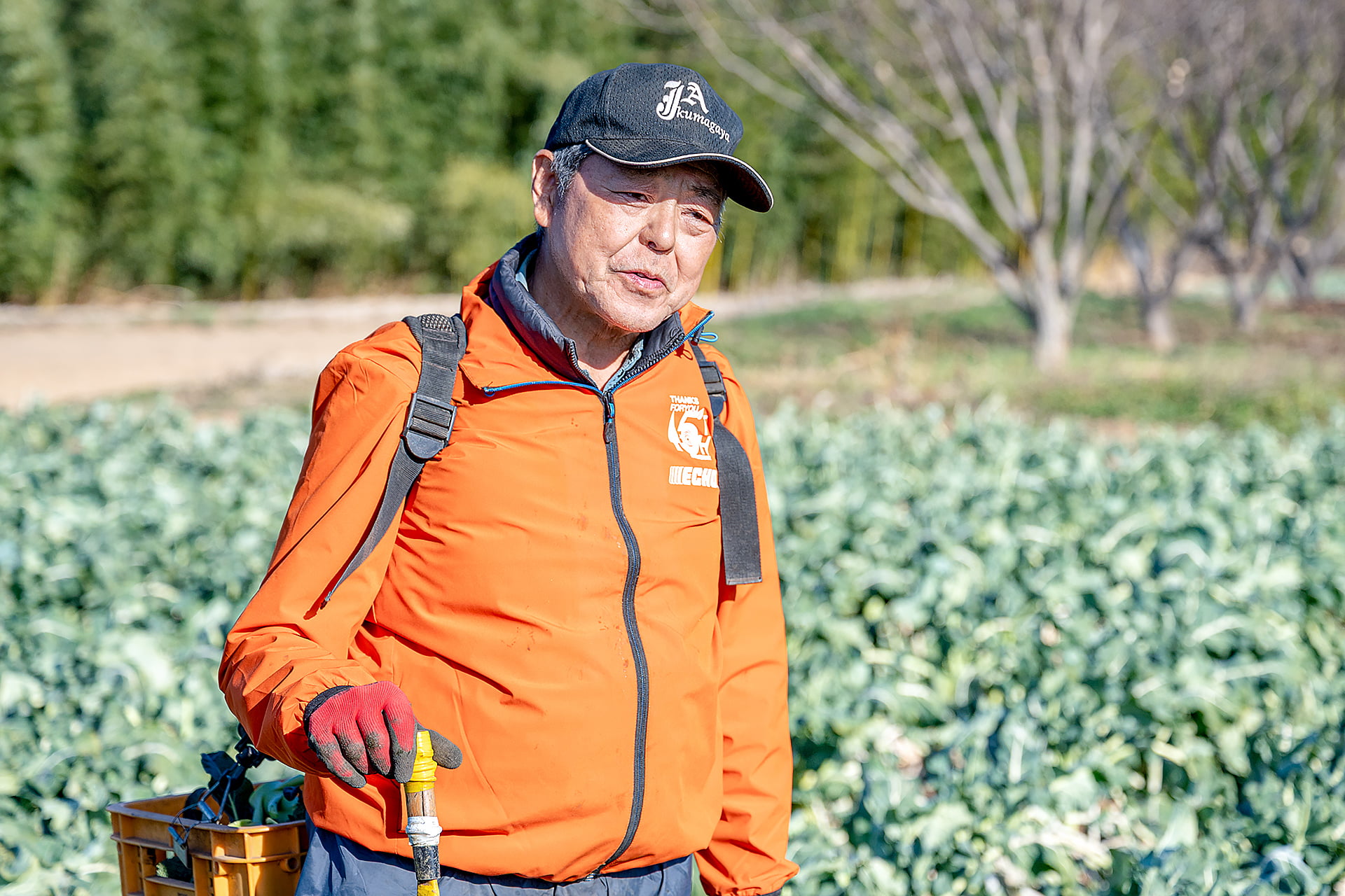 吉田一豊さん｜ブロッコリー｜晴れまちFARM