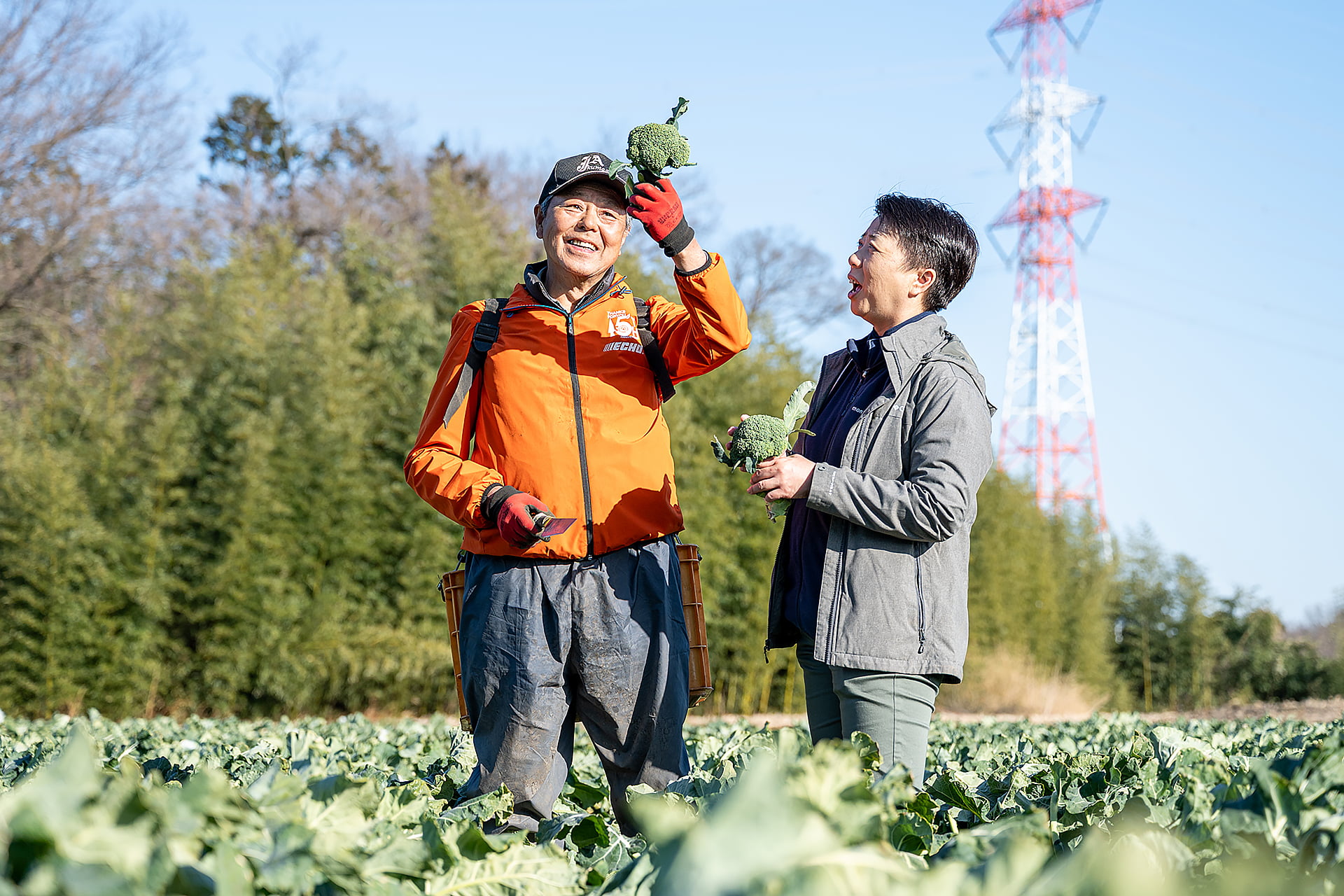 吉田一豊さん｜ブロッコリー｜晴れまちFARM